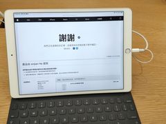 -Apple 零售店(Canton Road)