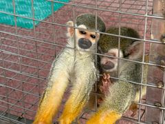 -水上乐园·欢乐世界