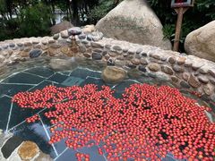 -观唐（国际）度假村温泉