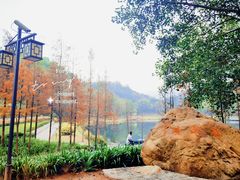 -国恩寺