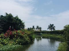 -亚龙湾国际玫瑰谷