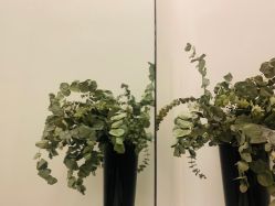 -LB·海菲秀牛奶光官方体验中心