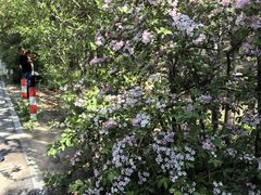 -昆嵛山石门里景区