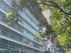 -河南省人民医院(院本部)