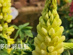 -苏州公园(双塔街道)