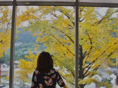 -重庆南山海昌汤都
