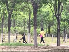 -永定河休闲森林公园