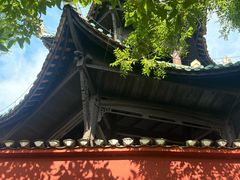 -白帝城·瞿塘峡景区