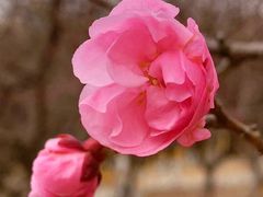 -鹫峰国家森林公园