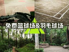 -南岗山公园