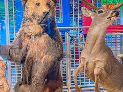 -凯德广场(武胜路店)