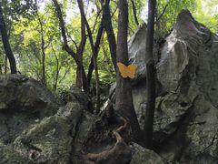 -玉女潭景区