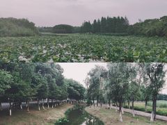 -艾溪湖湿地公园