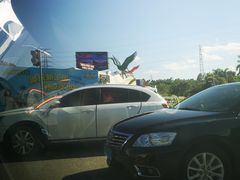 -美的鹭湖森林度假区