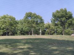-漕湖湿地公园