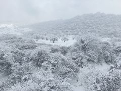 -太子岭滑雪场