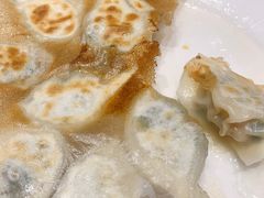 角瓜鸡蛋虾仁煎饺-添福来墨鱼饺子 · 海鲜东北菜(大连星海·黄浦路店)