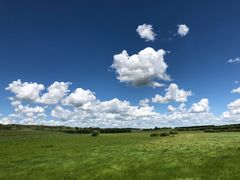 景点二道河沿土路一直往上-塞罕坝国家级自然保护区
