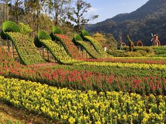 -广州市石门国家森林公园