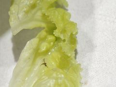 -大槐树烤肉馆(美术馆店)