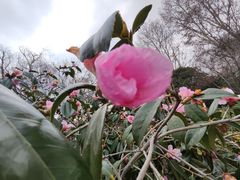 -杭州西湖风景名胜区-钱祠表忠