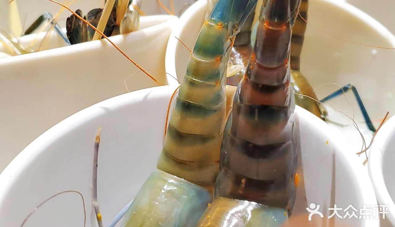 捞上来，吃下去！这里的海鲜管够！