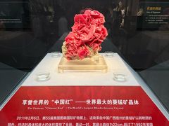 -湖南省地质博物馆