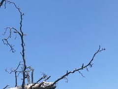-新疆那拉提国家旅游度假区