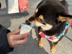 -同仁四季椰子鸡(无锡滨湖万象汇店)