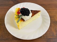 巴斯克焦蛋糕-dokidoki