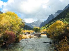 -稻城亚丁景区-冲古草甸