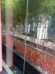 -爱儿美儿童摄影(朝阳公园店)