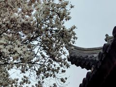 -龙华寺