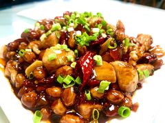 宫保鸡丁-黑皮酸菜鱼(三山街店)
