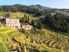 -紫鹊界梯田景区