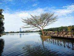 -海珠湖公园
