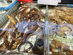 -大锅强·蒸海鲜青岛菜(金沙滩店)