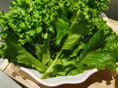牛奶生菜-鲜货俚鲜火锅(青果路店)