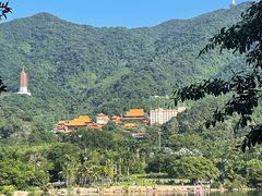 -深圳仙湖植物园