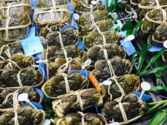 -盒马鲜生(宝地店)