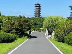 -宜兴龙背山森林公园