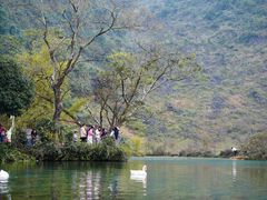 -靖西鹅泉风景区