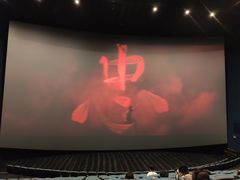 -博纳国际影城IMAX(中央大道店)