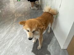 -猫小院猫主题餐厅(南锣旗舰店)