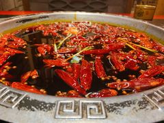 红油锅底-渝大狮毛肚老火锅(普陀店)