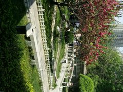 android_upload_pic-卫鼎轩·曹公馆(鼓楼店)
