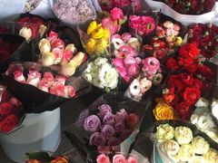 -秦美花卉(天朗·莱茵小城2期店)