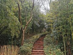 -天目湖涵田度假村