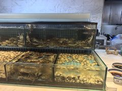 -冀粤香海鲜自助餐厅(西美五洲店)