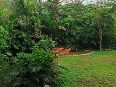 -深圳野生动物园